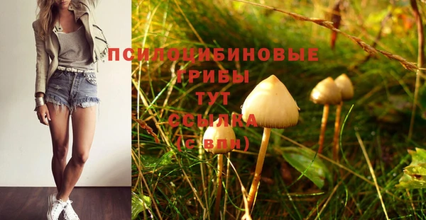 гашиш Аркадак