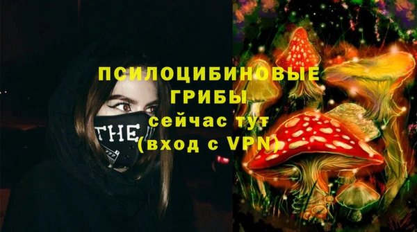 соль ск Арсеньев