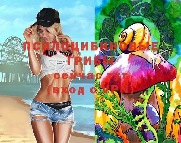 прущая мука Пестово